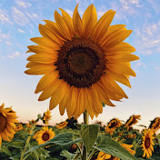 Profile Picture of Keek (@perr2728) on Youtube