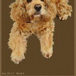 Profile Picture of Everett (@everettsuttonu) on Instagram