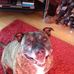 Profile Picture of Gary Bramall (@gary.bramall.3) on Facebook