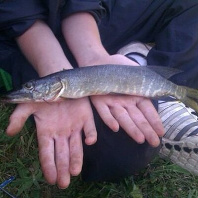 Profile Picture of Alexander Mcnab (@McnabAlexander) on Twitter