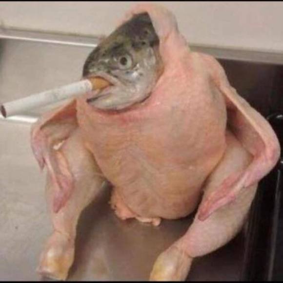 Profile Picture of Logan Haley (@loganh928) on Poshmark