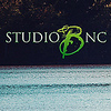 Profile Picture of Shawn Bradshaw (@Studio B NC) on Flickr