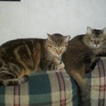 Profile Picture of Hunter pyle (@bunter123) on Instagram