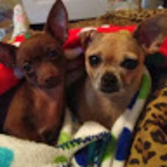 Profile Picture of Lacey Stephens (@lacey_stephens) on Poshmark