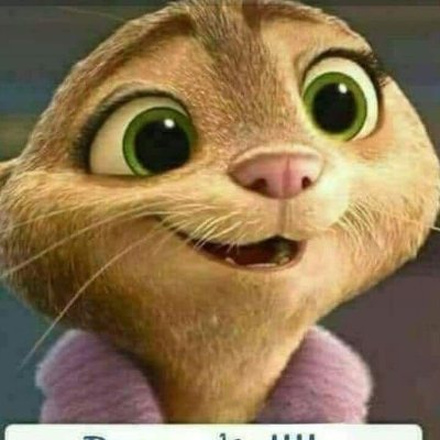 Alma Albarrán - Twitter Profile Picture of Alma Albarrán (@AlmaAlbarrn1) on Twitter