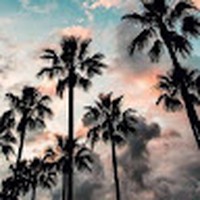 Profile Picture of Brad Lopeman (@brad-lopeman) on Quora