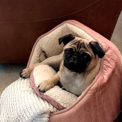 Profile Picture of Gary Jacobs (@GaryJac31391499) on Twitter