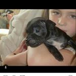 Profile Picture of Rubyolsen (@ruby_jessica_olsen) on Instagram