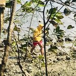 Profile Picture of JOROLAN (@gean_jorolan) on Instagram