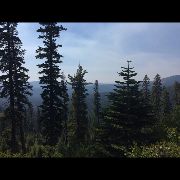 Profile Picture of Julia Heick (@jheick) on Poshmark