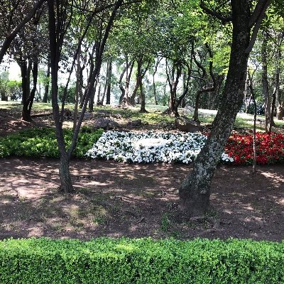 Profile Picture of Pedro Jáquez (@PedroJquez3) on Twitter