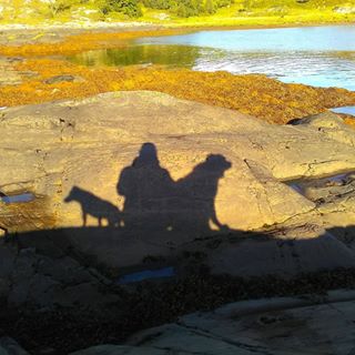 Profile Picture of Andy Mclennan (@andy.mclennan.50) on Facebook