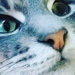 Morgan Hurd - Instagram Profile Picture of Morgan Hurd (@morgan.hurd16) on Instagram