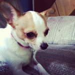 Profile Picture of Richard Holton (@gothcori) on Instagram