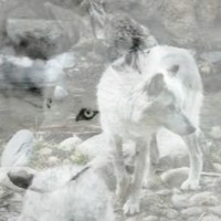 Profile Picture of Nathaniel Weber (@nathaniel-weber-5) on Quora