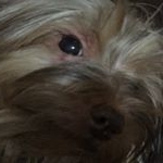 Profile Picture of Pablo Alba Malagón (@pablosty_lpc) on Instagram