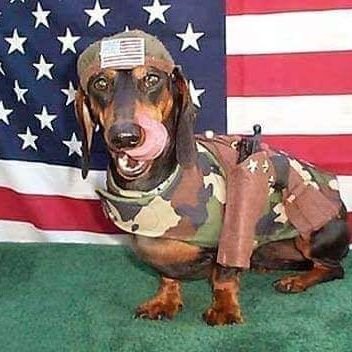 Profile Picture of Bubba McDonald (@daggett31) on Twitter