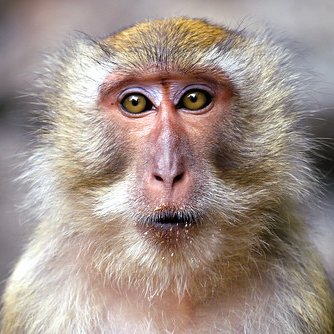 Profile Picture of Joe Womble (@WadeWisBoys14) on Twitter