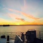 Profile Picture of James Pellow (@pellowjames) on Instagram