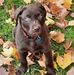 Profile Picture of Louis Lessard (@louis.lessard.1044) on Facebook