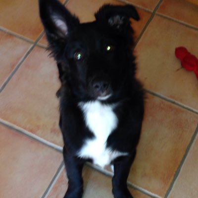 Profile Picture of Jim Manner (@JimmyJoeBob69) on Twitter