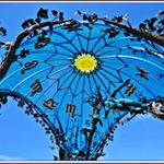 Profile Picture of meredith walter (@meredith6438sr) on Instagram