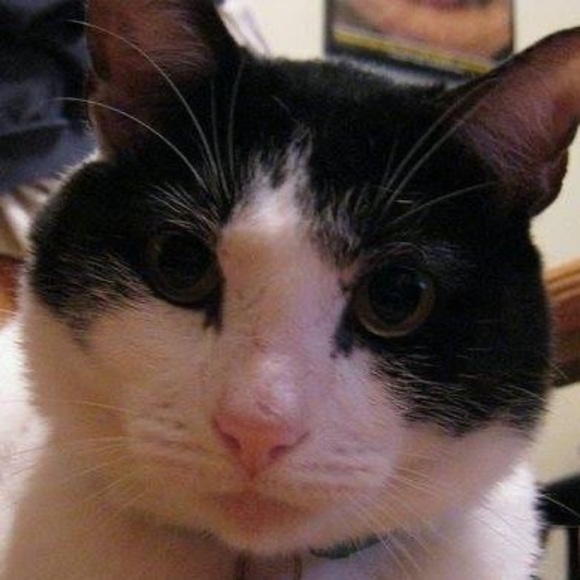 Profile Picture of Matthew Gose (@tokyotap) on Poshmark