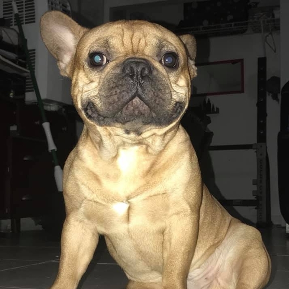 Profile Picture of Adrian Corujo (@beast_888) on Poshmark