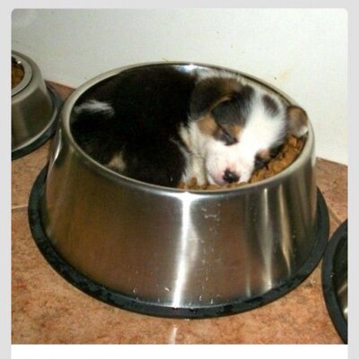 Profile Picture of Makayla Mcbride (@mcbridem2013) on Twitter