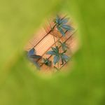 Profile Picture of Sid Marshall (@treandflo) on Instagram