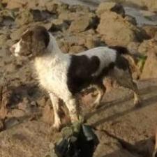 Profile Picture of Greeny (@MarkGre32471207) on Twitter