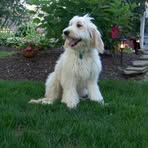 Terry Ellifritz - Facebook Profile Picture of Terry Ellifritz (@terry.ellifritz) on Facebook