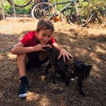 Profile Picture of zohar amir (@zohar4amir) on Instagram