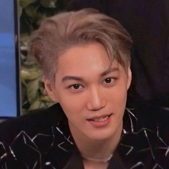 bradley fu - Tiktok Profile Picture of bradley fu (@vthreekaichingu1818) on Tiktok