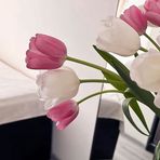 Profile Picture of Josephine Tardif (@Josephine-Tardif) on Facebook