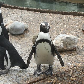 Profile Picture of Owen O'Callaghan (@owen.ocallaghan.1) on Facebook