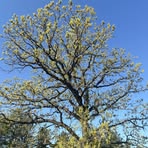 Profile Picture of Mark Paulson (@mark.paulson.143009) on Facebook