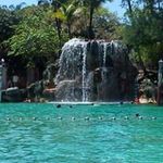 Adrian Farmer - Instagram Profile Picture of Adrian Farmer (@adrianlfarmer) on Instagram