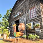 Profile Picture of Steve & Paula Lynam (@chartreusebarn) on Instagram