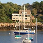 Susan Lazarus - Instagram Profile Picture of Susan Lazarus (@srlaz1) on Instagram