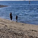 Profile Picture of Brian Thomson (@brian_thomson.1972) on Instagram