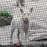 Profile Picture of Yunshan: Village Of Stone (by Timothy Winslow) (@yunshanphotoessay) on Flickr