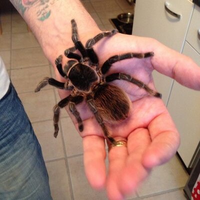 Kim Wallis - Twitter Profile Picture of Kim Wallis (@Mumseykim) on Twitter