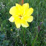 MS~AB - Instagram Profile Picture of MS~AB (@ashia_meeky) on Instagram