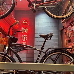 Profile Picture of carlottacoleman1 (@carlottacoleman1) on Tiktok