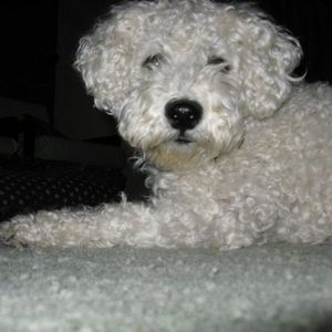 Profile Picture of Amy Borg (@that_amy_chick) on Myspace