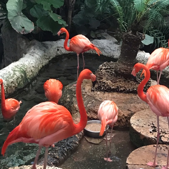 Dionne Long - Poshmark Profile Picture of Dionne Long (@dionnel_) on Poshmark