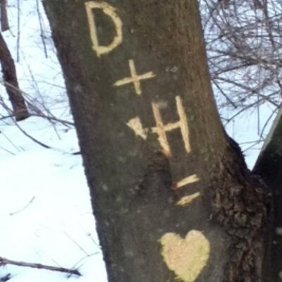 Profile Picture of Daniel Callen (@Calle1246) on Twitter