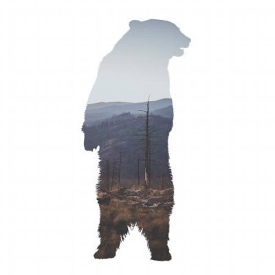 Profile Picture of Jo Briere (@JoBriere) on Twitter