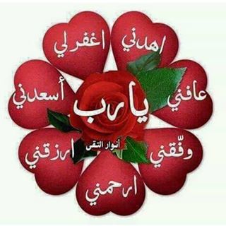 Profile Picture of Sofya Rachad (@sofya.rachad.5) on Facebook